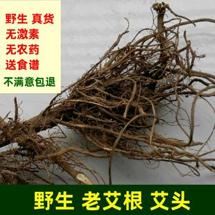 端午艾根野生五月老艾根坐月子煲汤艾叶根小叶艾根大叶艾草根艾头