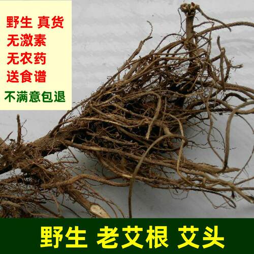 端午小叶艾根老艾根野生五月艾叶
