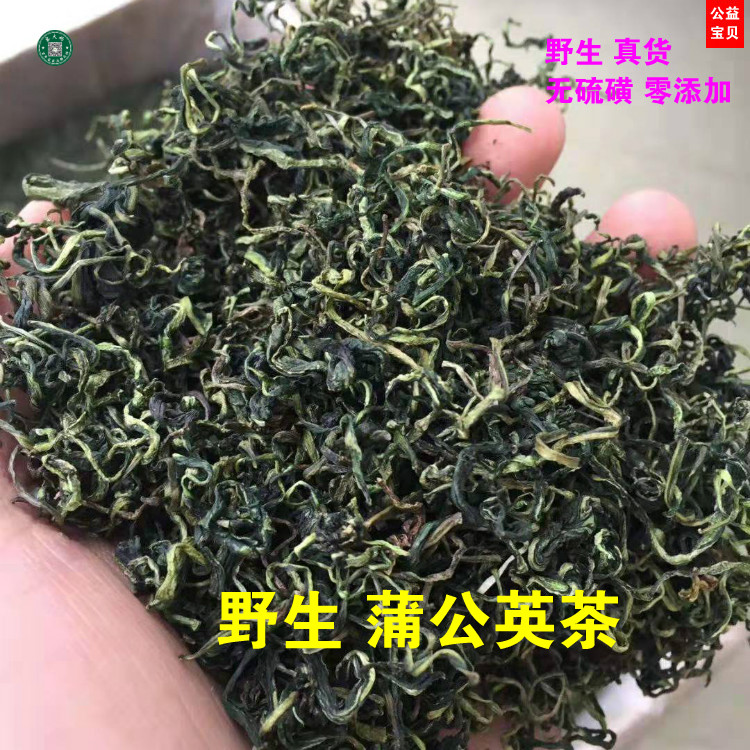 蒲公英天然婆婆丁包邮