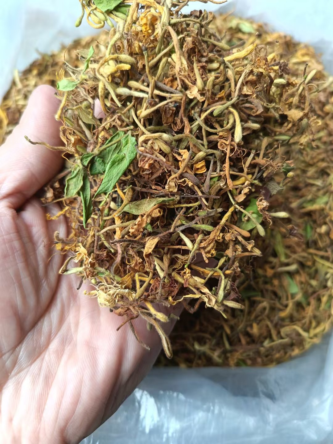 广东凉茶 新货真货 无硫 金银花 金银花茶 银花茶宝宝 泡澡 包邮