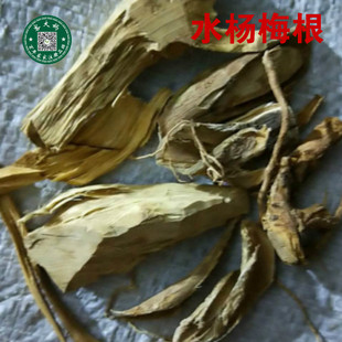 水杨梅根 新货 无硫水杨梅根水杨梅假洋梅500g真货纯根头包邮