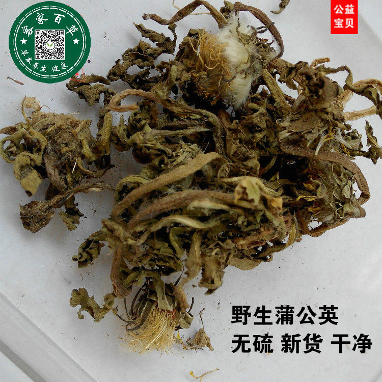 花草茶无硫蒲公英包邮
