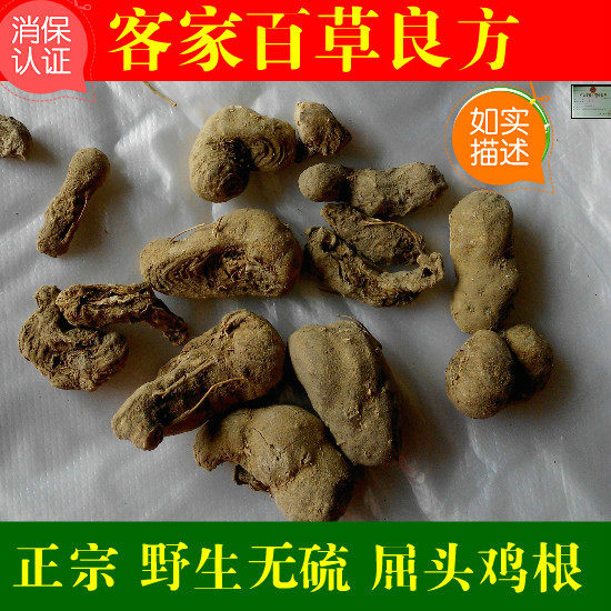水三七根 土三七 屈头鸡 根 水鸡头 水虾公500g 新货 包邮