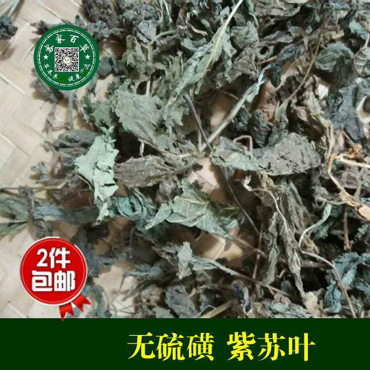 紫苏叶 干 紫苏叶 紫苏叶 500g 紫苏叶 香料2件包邮