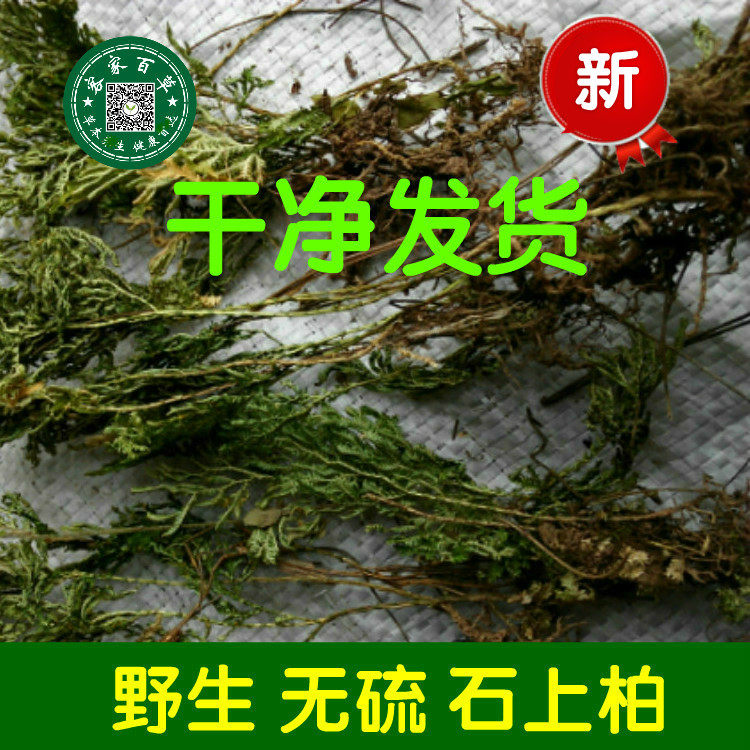 石上柏 地梭罗 金龙草地侧柏 过路蜈蚣500g 干净新货 包邮