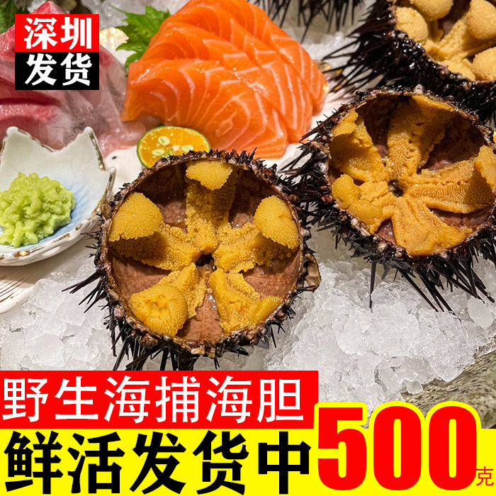 深圳本地鲜活海胆500g新鲜黄胆即食生吃刺身海鲜水产约3-10个顺丰