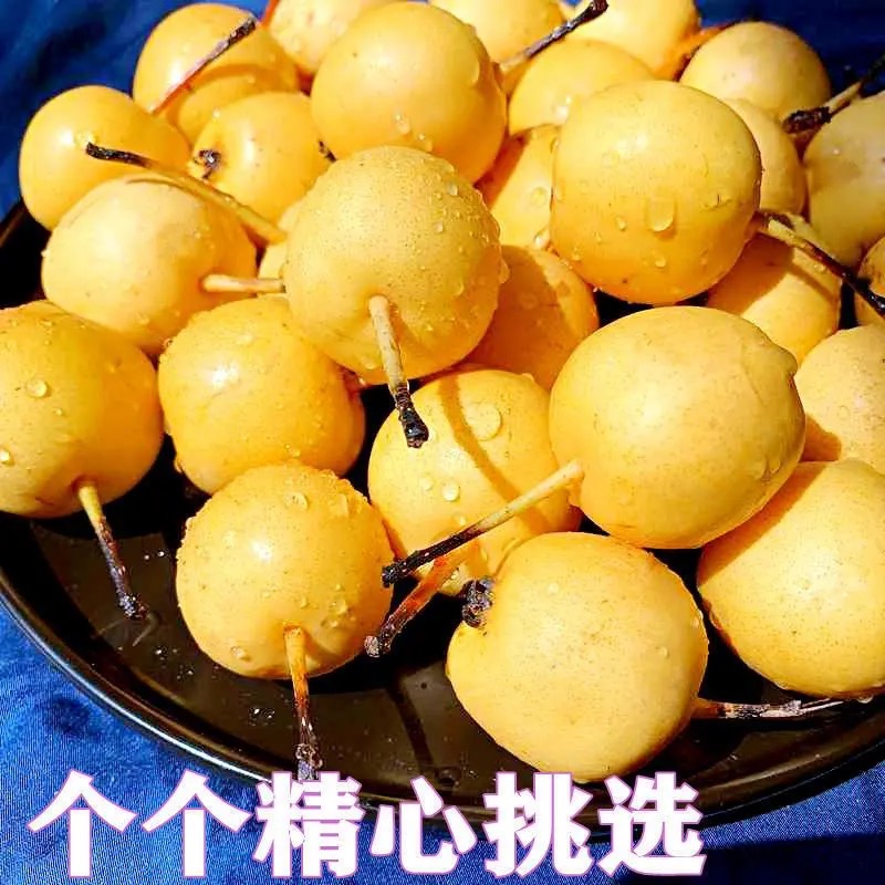 东北特产小香梨香梨新鲜现摘自然熟果带皮吃孕妇老人小孩冰糖心梨