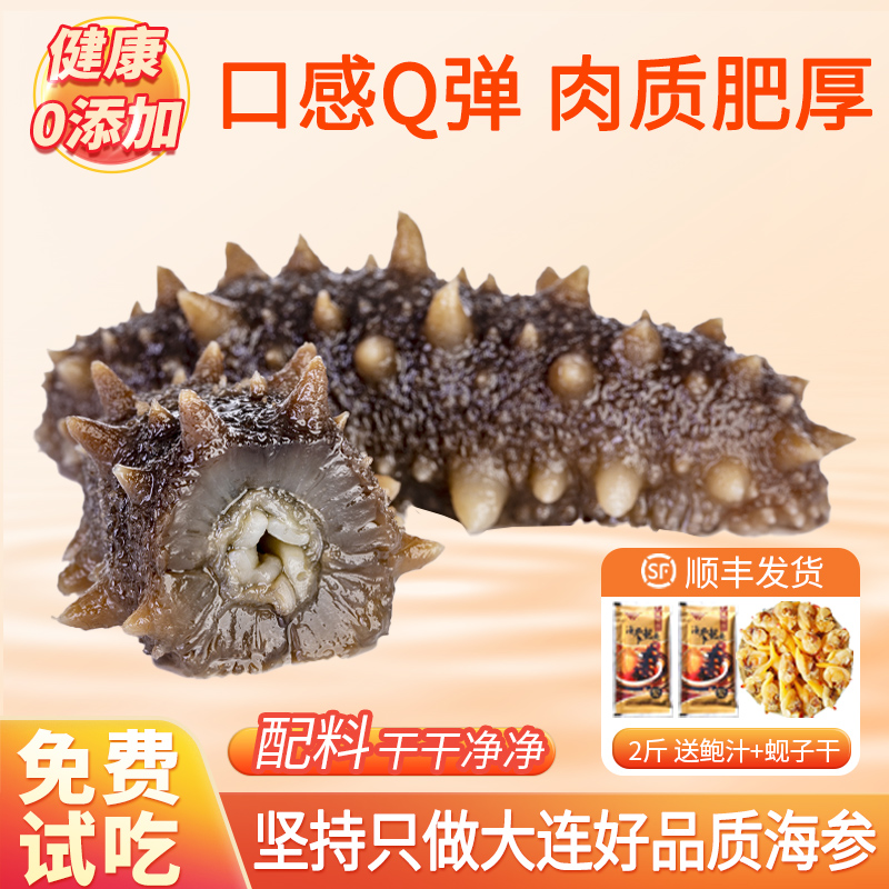 大连海参即食500g深海野生辽参鲜活速食海鲜海参旗舰店【7星级】