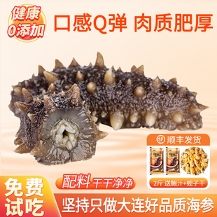 7星级 大连海参即食500g深海野生辽参鲜活速食海鲜海参旗舰店