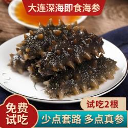 大连海参即食冷冻水产深海野生辽参海生刺参鲜活速食非干货500g克