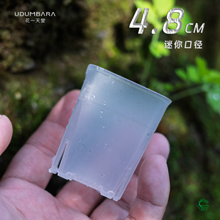 花一天堂透明迷你控根多肉方盆塑料麦秆十二卷万象仙人球育苗控养