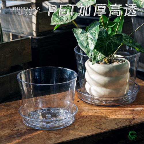 花一天堂高透PET蝴蝶兰圆口花盆