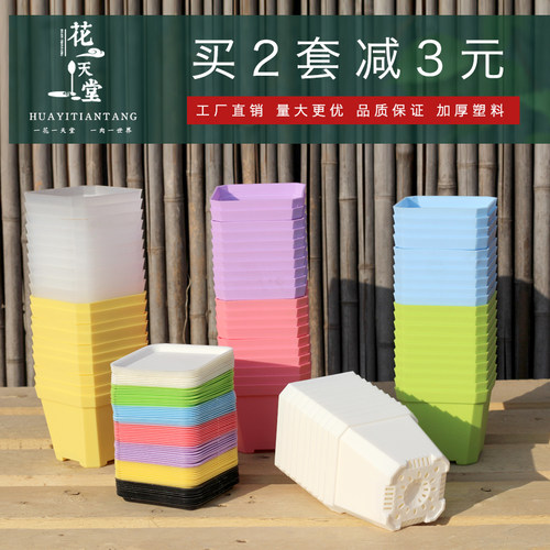 多肉花盆彩色10cm大白方盆黑方塑料加厚景天盆生石花玉露育苗种植