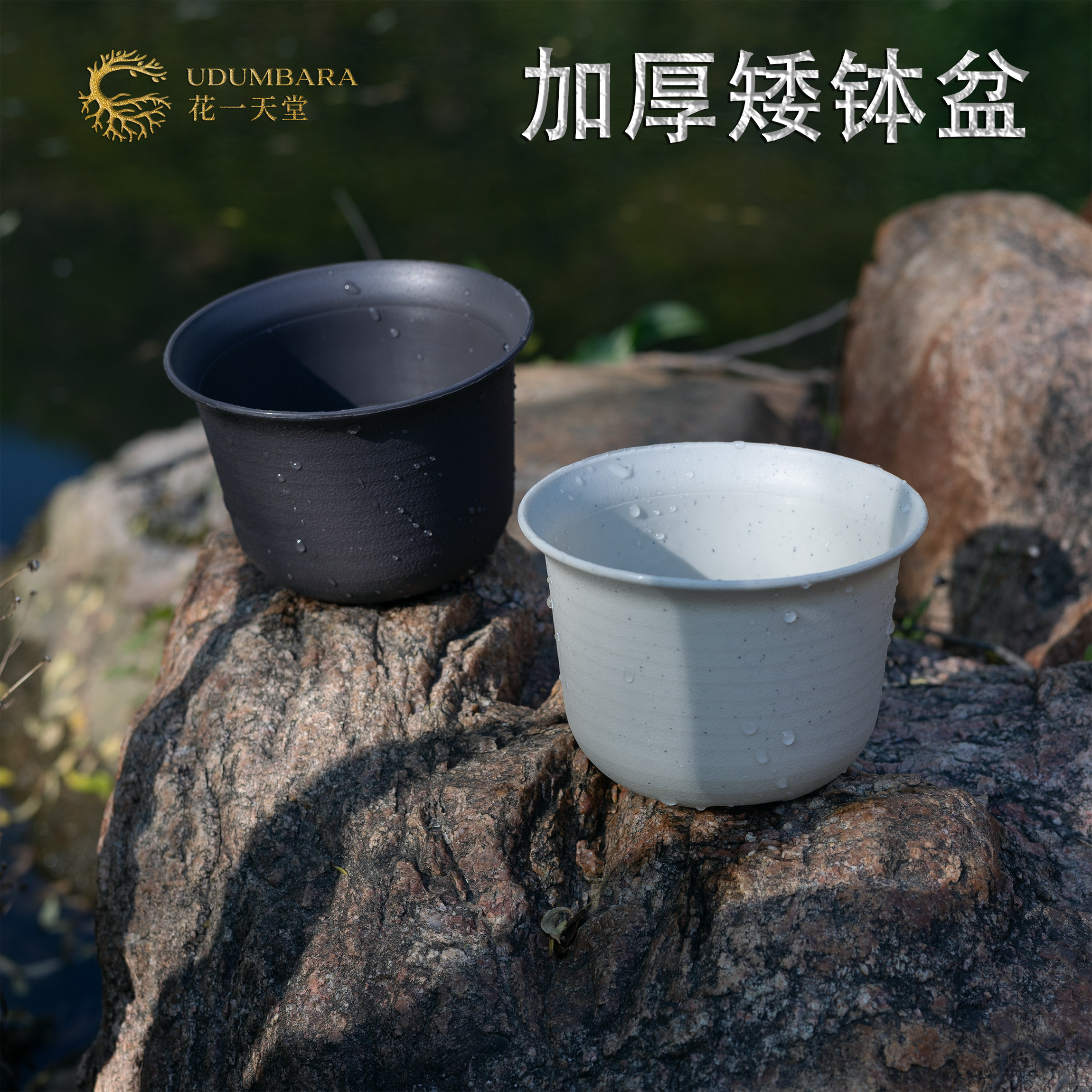 加厚圆形矮多肉花盆塑料小口径蝴蝶兰石斛种植育苗播种绿植块根球