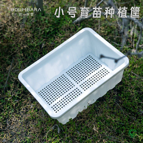 加厚塑料小号育苗盘筐