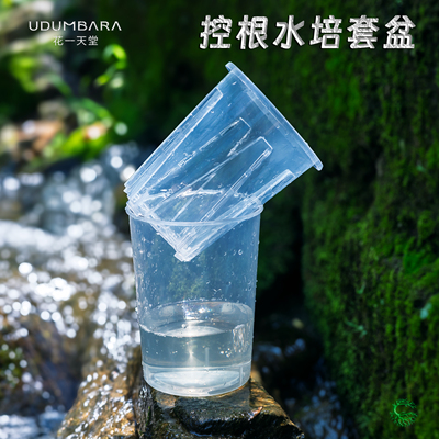 花一天堂蝴蝶兰专用控根水培套盆