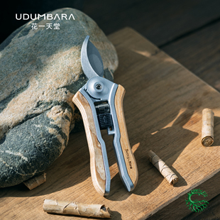 Berry&Bird迷你木柄园艺剪刀家用盆栽修枝剪子鲜切花绿植盆景省力