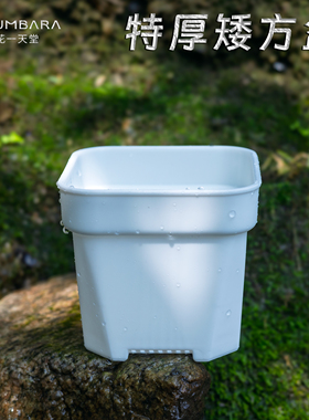 特厚多肉花盆塑料矮白方迷你特大多规格育苗精控养阳台党种植花盆