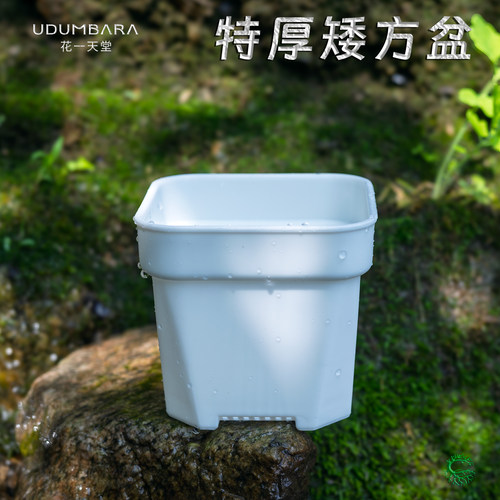 迷你特大多规格精控养矮方盆