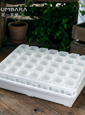 花一天堂特厚迷你4口径塑料花盆托架浸盆盘多肉锥阳台控养育苗盆