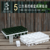 迷你5cm侧开口控根方万象24格托架组合肉锥玉露万象高腰塑料花盆