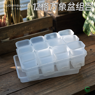 花一天堂多肉7.3cm方口万象塑料花盆12格托架盘组合育苗播种蓄水