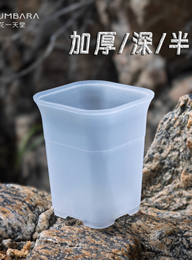 花一天堂加厚半透方口高腰多肉万象盆塑料多规格花盆仙人球块根盆