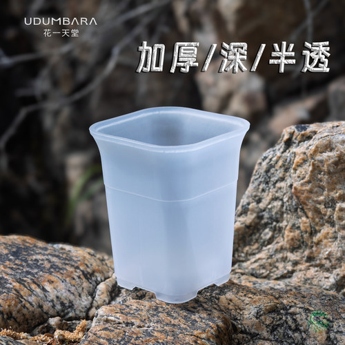 花一天堂加厚磨砂透明万象块根盆