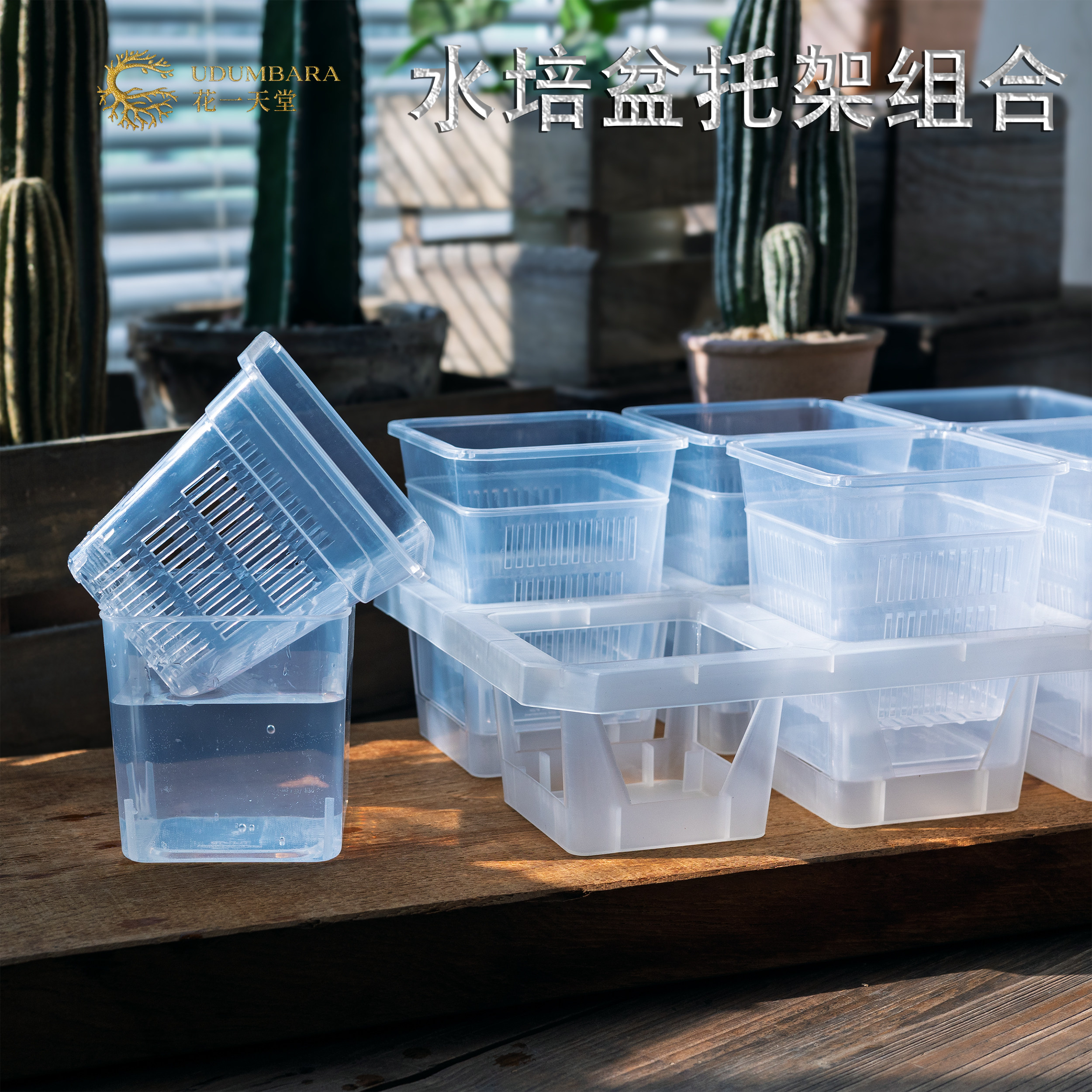 花一天堂透明水培套盆托架组合蝴蝶兰石斛兰秋海棠海芋种植观根盆