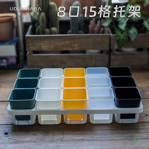 8口塑料多肉花盆15格接水托盘架