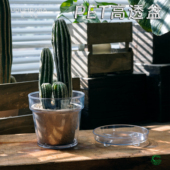 花一天堂高透PET加厚圆口花盆蝴蝶兰秋海棠热植多肉仙人球送托盘