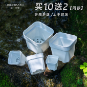 热卖 升级特厚多肉花盆塑料矮方盆育苗省土迷你大小口径10送2同款