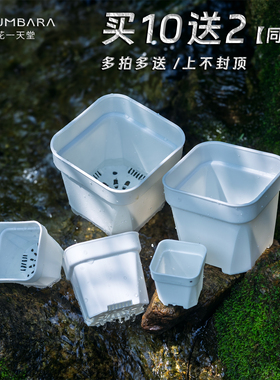 热卖升级特厚多肉花盆塑料矮方盆育苗省土迷你大小口径10送2同款