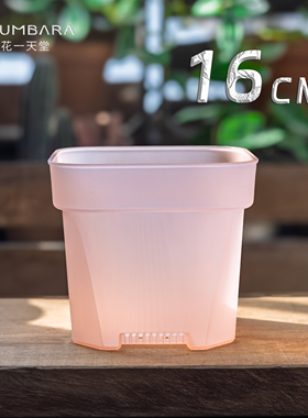 花一天堂16cm大口径透粉加厚方口塑料花盆多肉植物盆栽热植秋海棠