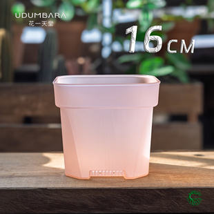花一天堂16cm大口径透粉加厚方口塑料花盆多肉植物盆栽热植秋海棠
