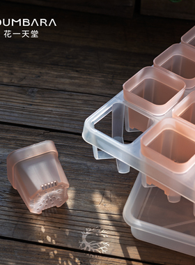 Udumbara半透粉5cm特厚矮方多肉花盆浸接水托盘育苗播种闷控养箱