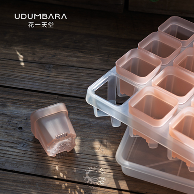 Udumbara特厚5cm半透矮方多肉盆
