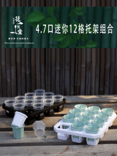 迷你4.7八边多肉塑料盆12格蓄水托架组合肉锥生石花育苗播种花盆