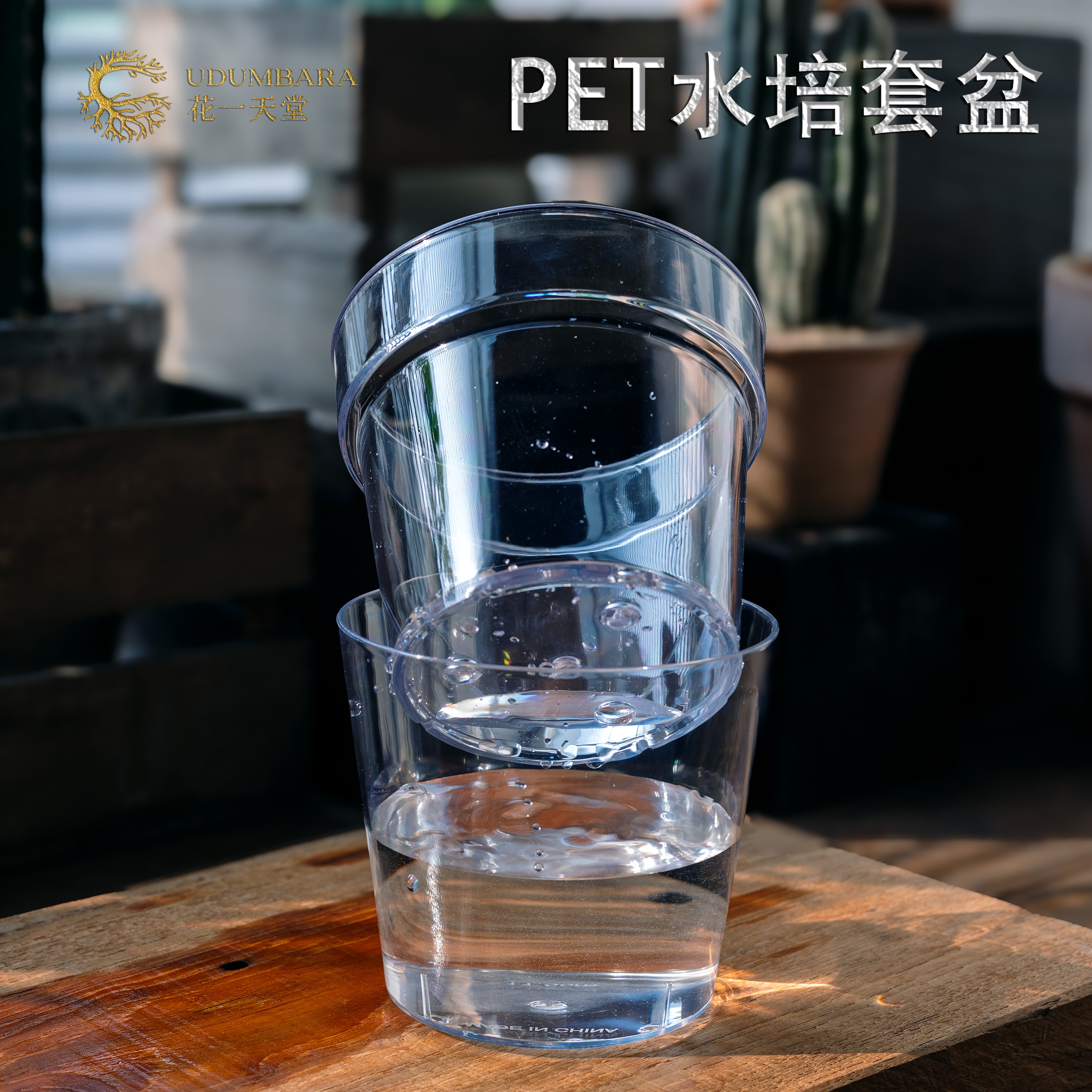花一天堂高品质PET高透水培套盆蝴蝶兰秋海棠热植龟背竹观根花盆