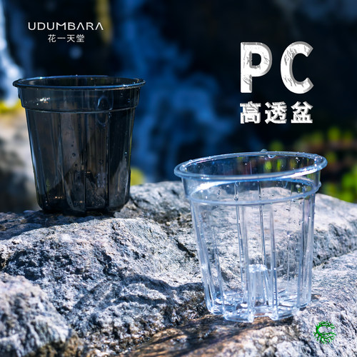 花一天堂pc高透控根盆可水培
