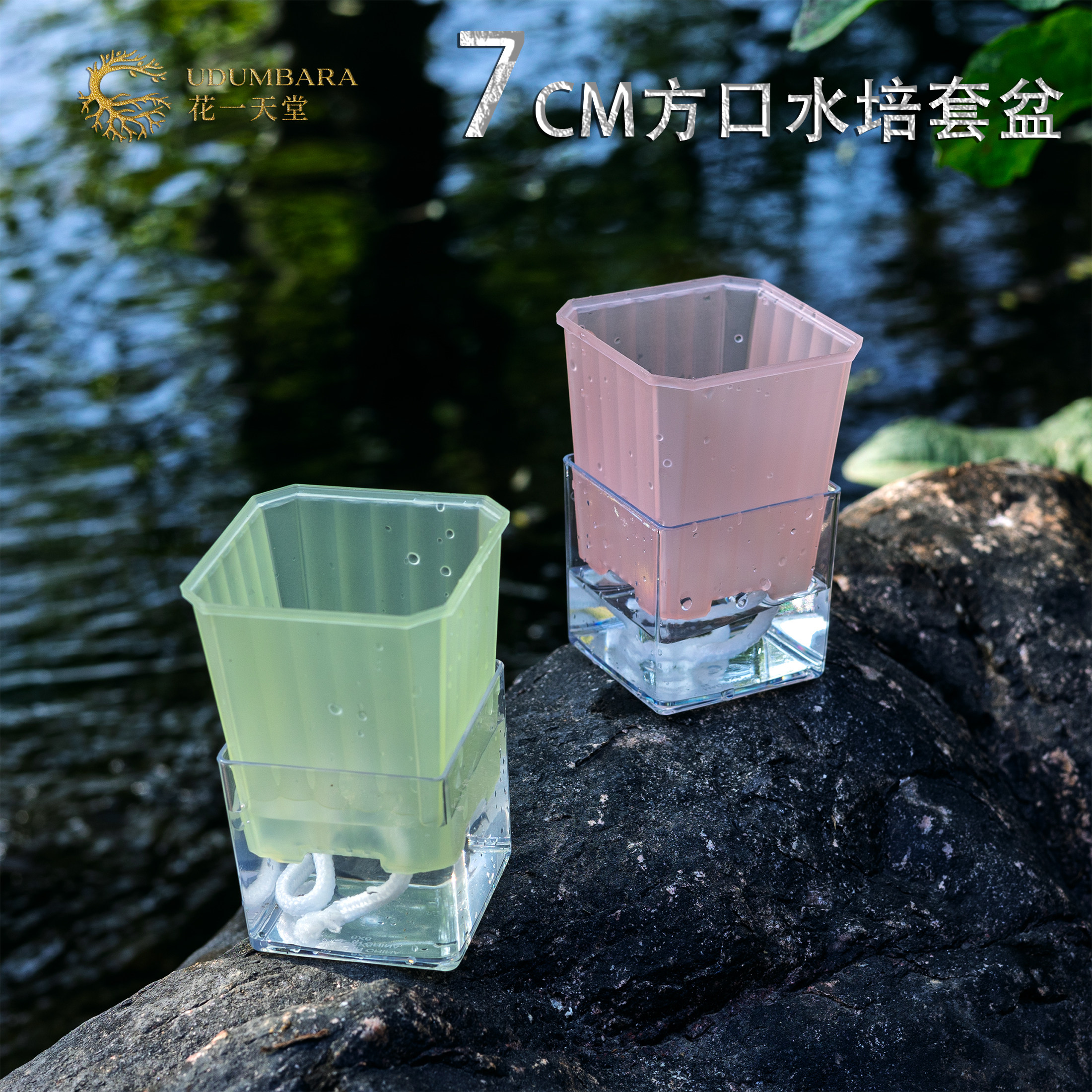 花一天堂彩透7方懒人水培套盆图片