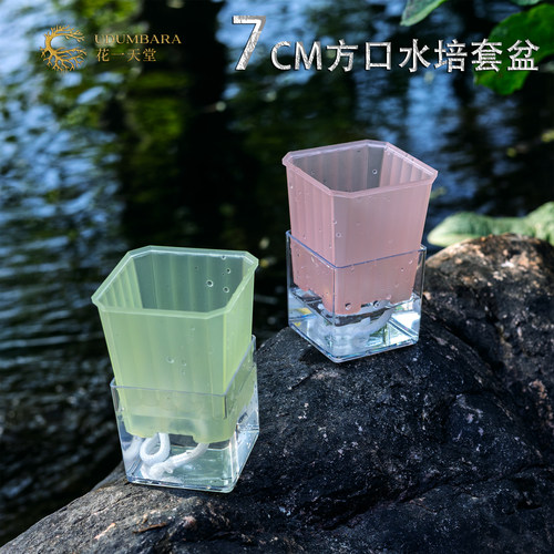 花一天堂彩透7方懒人水培套盆