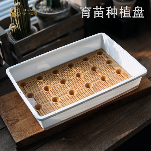 花一天堂高品育苗盘带隔板