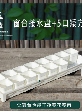 5口径加厚多肉花盆窗台接水长方形底盘整理浸盆排水多用阳台控养