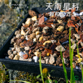 花一天堂天南星科龟背竹专用颗粒配方土秋海棠海芋热绿植种植泥炭