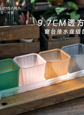 花一天堂9.7口径半透彩方多肉植物花卉塑料花盆加厚窗台接水托盘