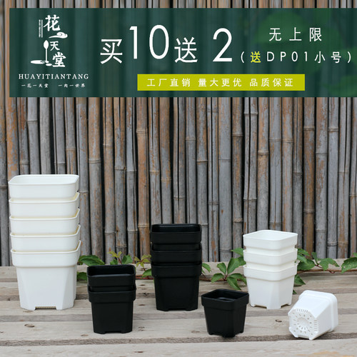 特厚多肉矮方盆省土透气耐用