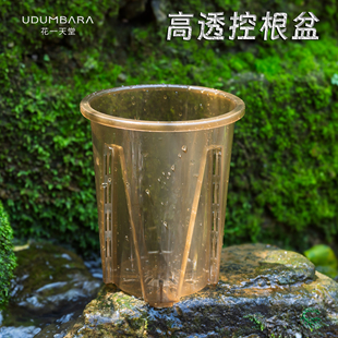 高透明青山观控根蝴蝶兰花盆塑料透气镂空热绿植蔓绿绒盆家用大号