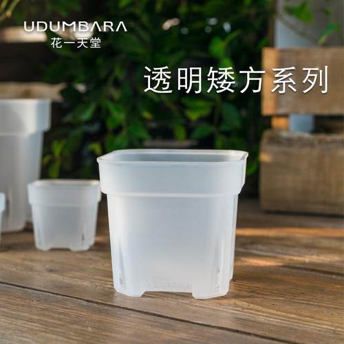 花一天堂特厚透明矮放方盆