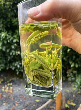 Q4  2025年新茶叶  雨前一级绿茶 龙井茶 250克 西白山茶园定制款